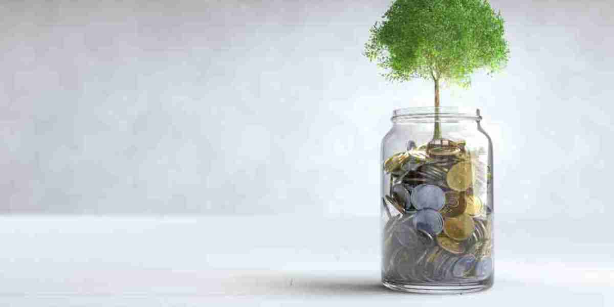 Microfinance Market Overview: Innovations Driving Financial Access