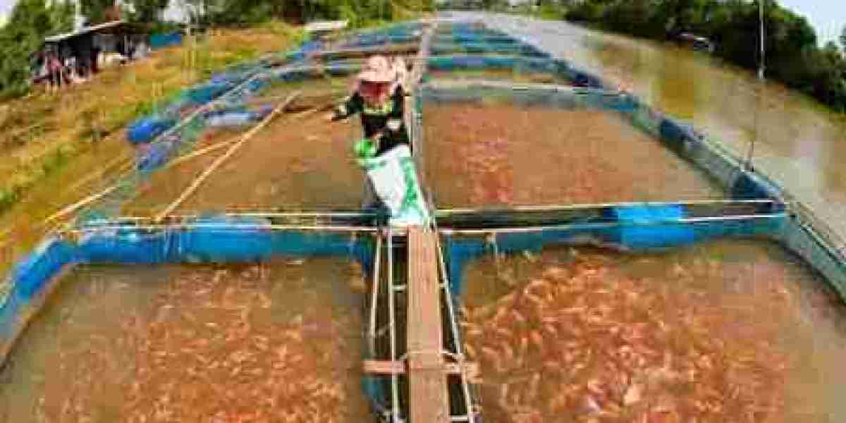 Budget For Starting Fish Farming Business: Detailed Process Flow and Capital Cost of the Project