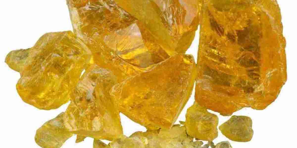 Gum Rosin Market Trends: Analyzing Key Players and Future Opportunities