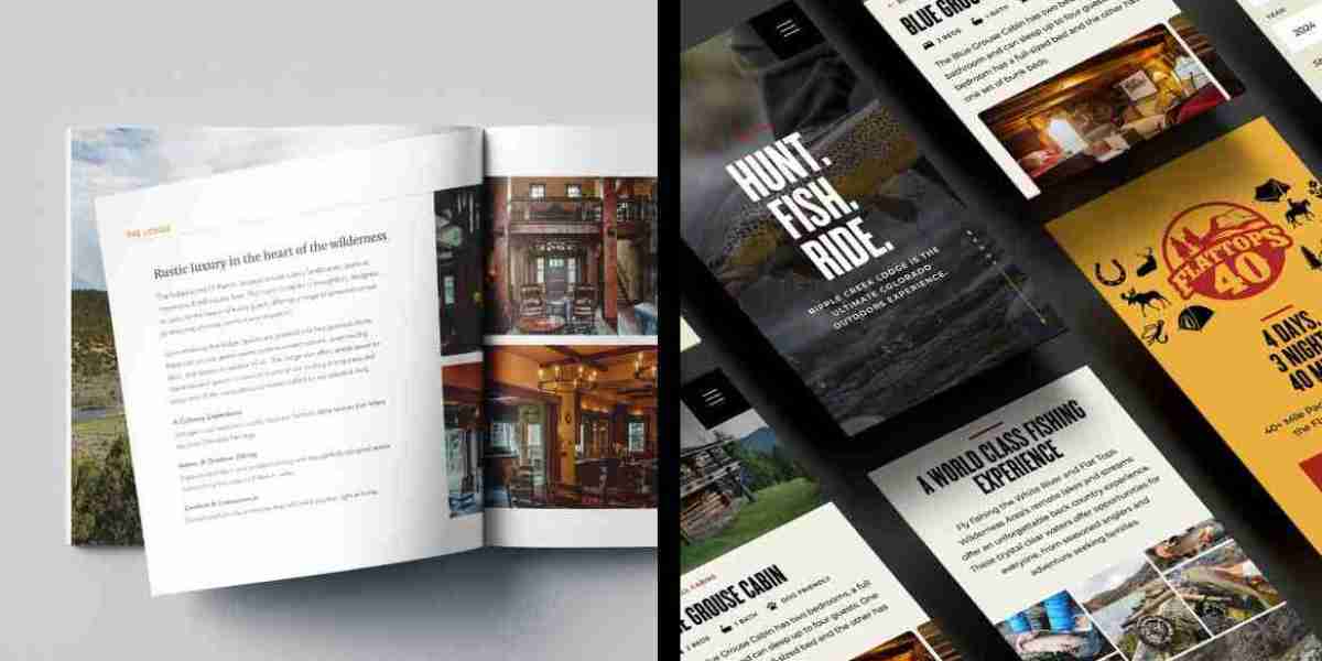Website Design & Branding Design That Elevates Your Business