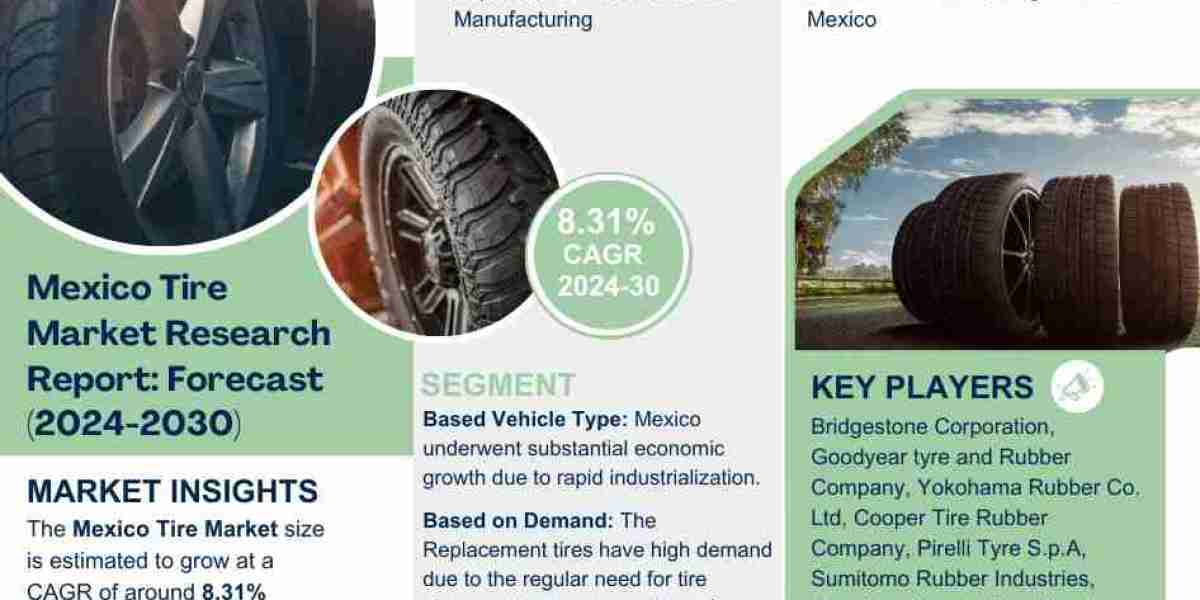 Mexico Tire Market Comprehensive Analysis and Forecast 2024 to 2030