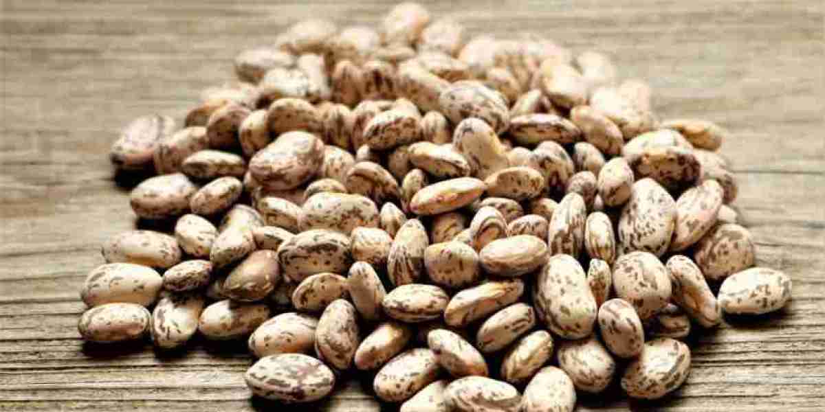 Pinto Bean Processing Plant - Detailed Project Report, Raw Material