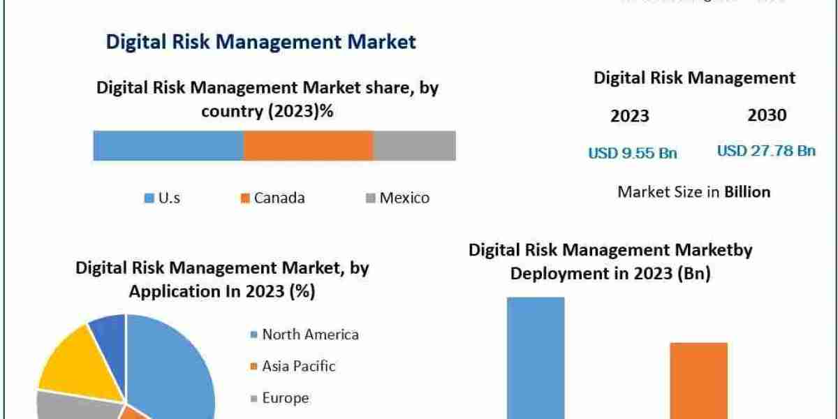 Digital Risk Management Market In-Depth Analysis of Key Players-2030