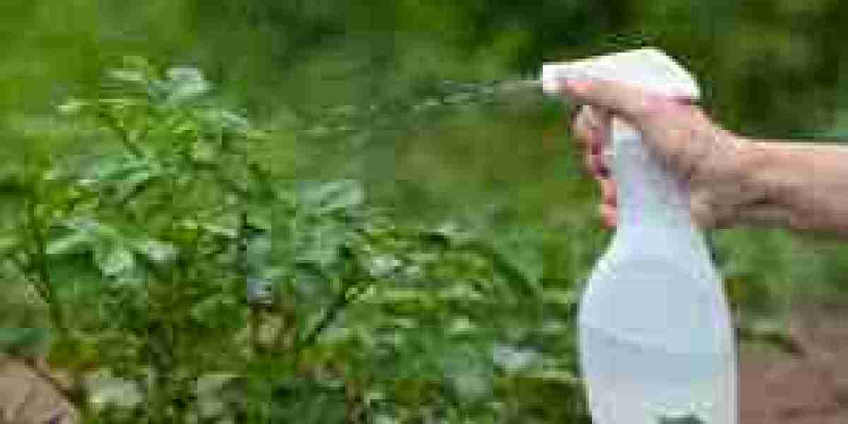 Global Foliar Spray Market Size, Share, Forecast 2023 - 2033