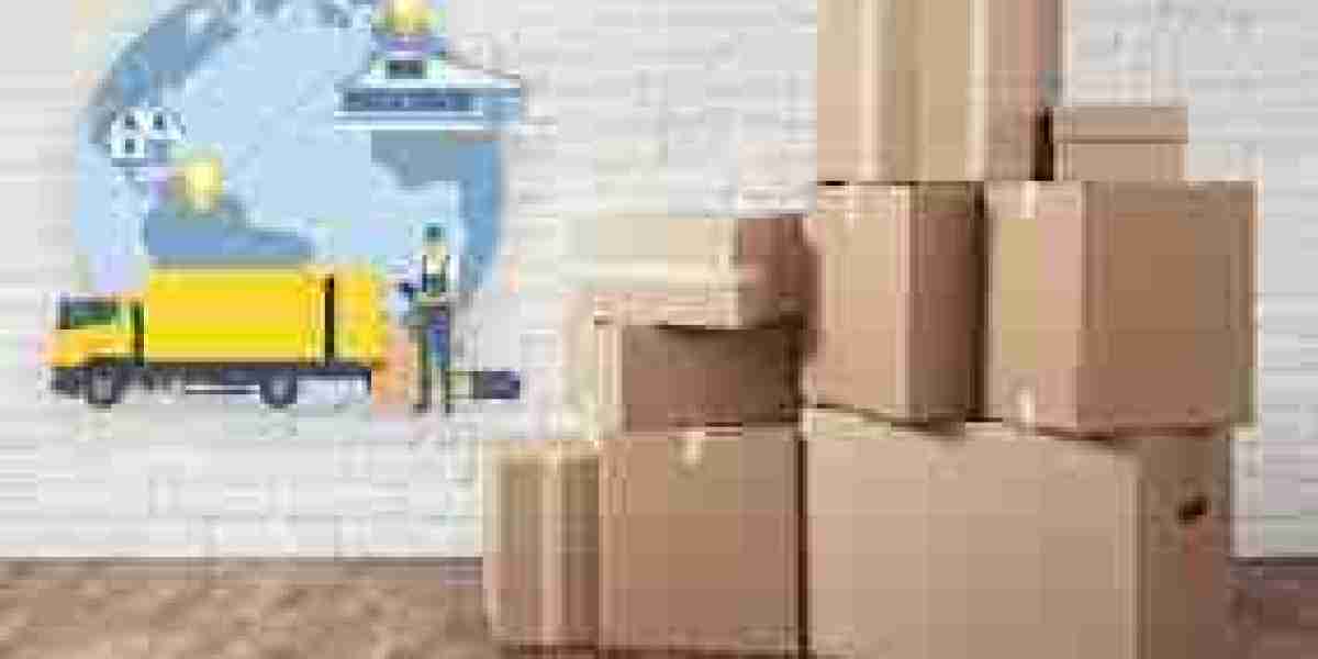 Why Opt for Professional Removals Services for Your Next Move