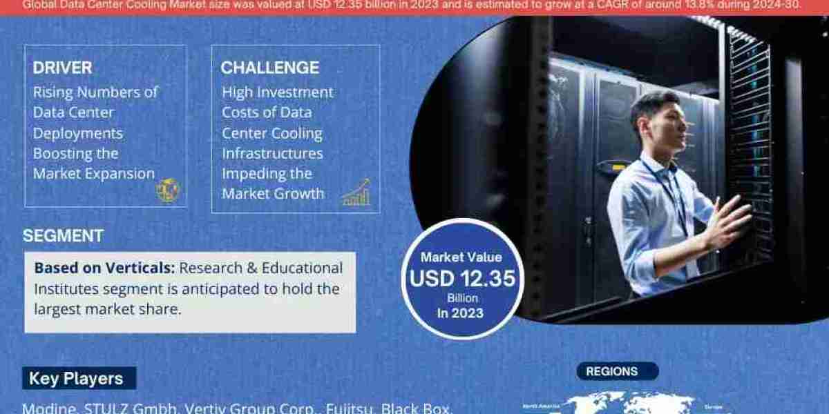 Global Data Center Cooling Market Comprehensive Analysis and Forecast 2024 to 2030