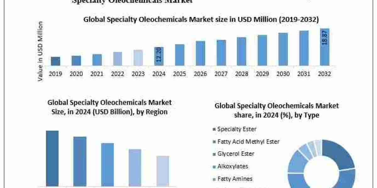 Specialty Oleochemicals Market Developments, Key Players, Statistics and Outlook 2032