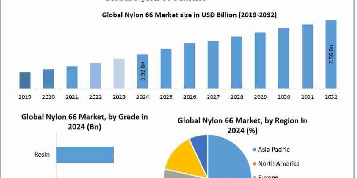 Nylon 66 Market Share, Size, Segmentation with Competitive Analysis. Product Types-2030