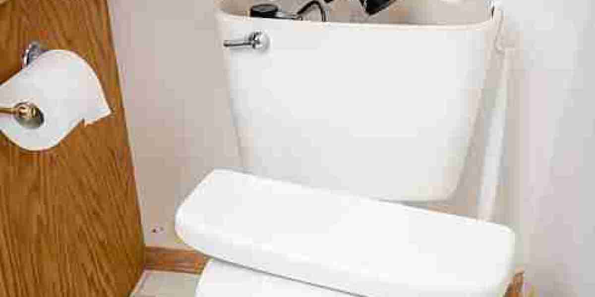 Toilet Seat Replacement and Toilet Tank Lid Replacement Services You Can Count On