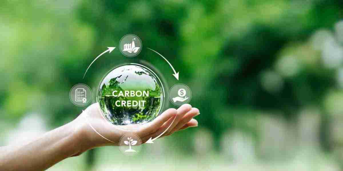 Carbon Offset & Carbon Credit Market Demand: Trends, Impact, and Future Outlook