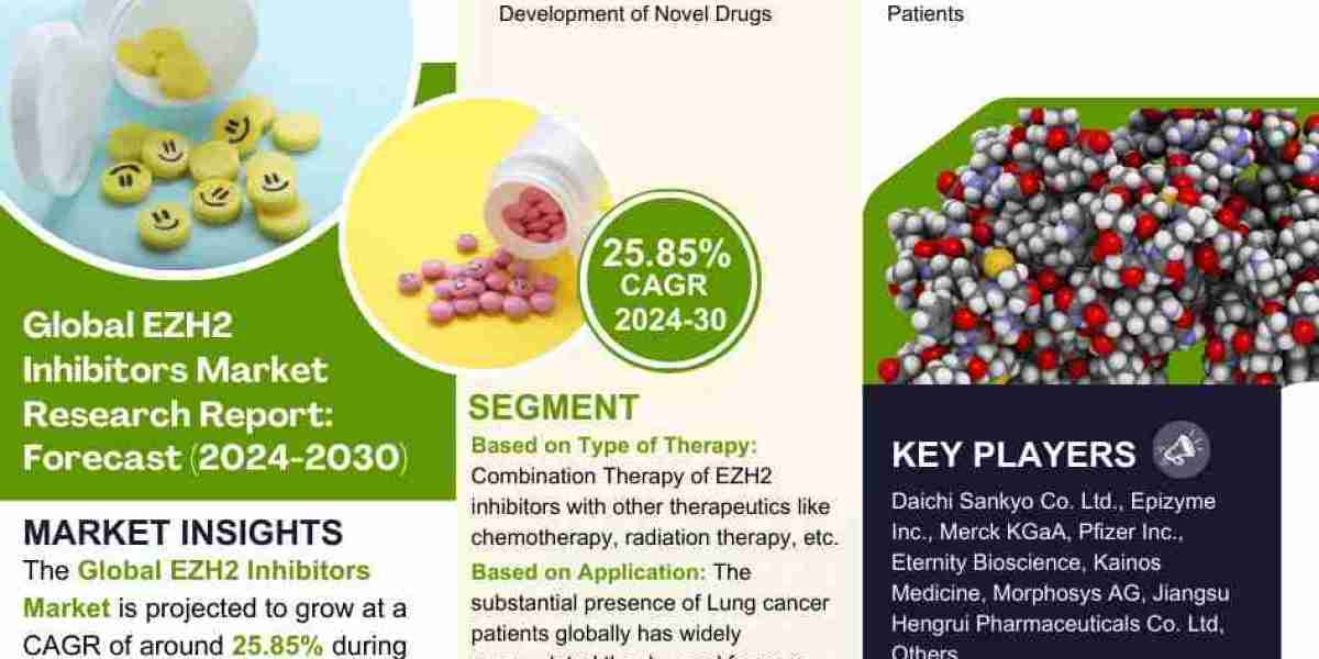 Global EZH2 Inhibitors Market Comprehensive Analysis and Forecast 2024 to 2030