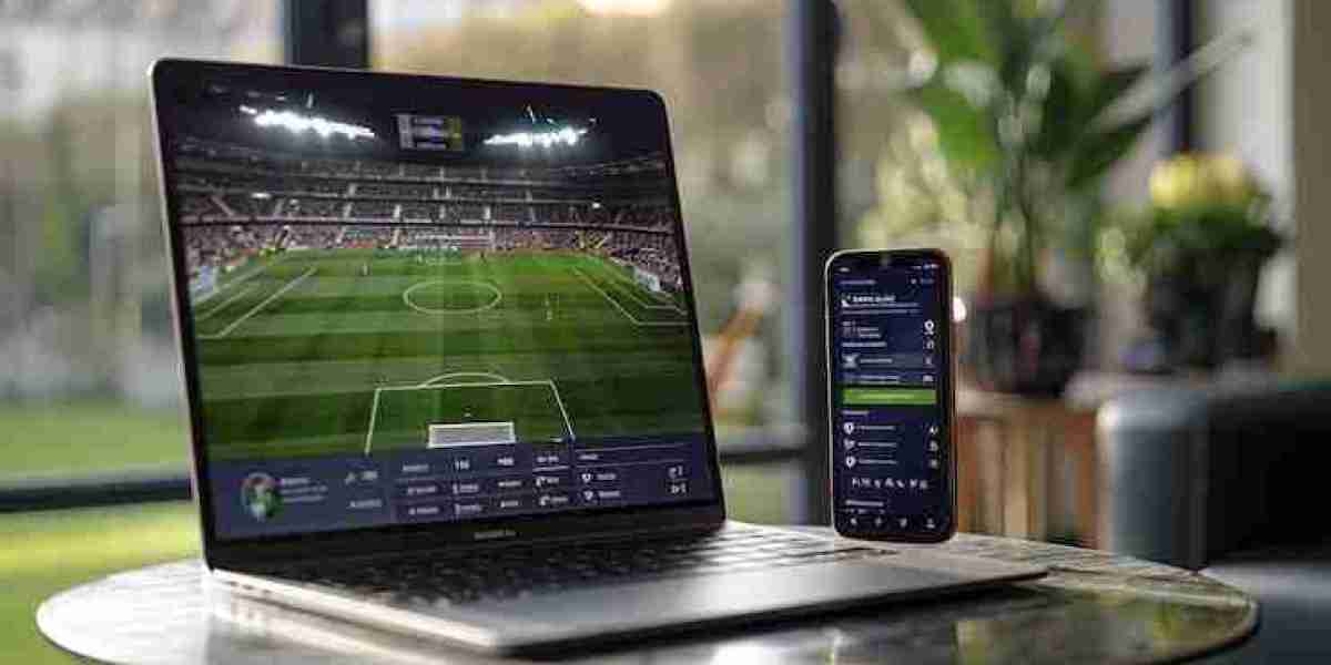 Real Insights into How MLB Sportsbook Software Helps You Compete