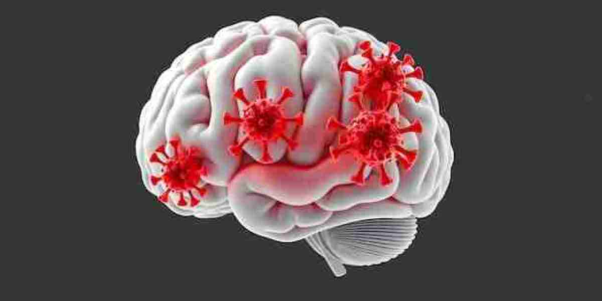 Tuberculous Meningitis Market Dynamics: Growth Drivers and Emerging Opportunities