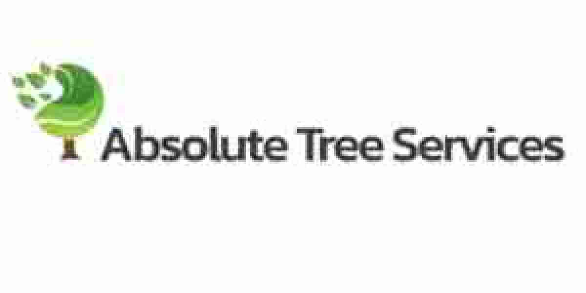 Professional Tree Removal Services in Campbelltown NSW for Homes and Businesses