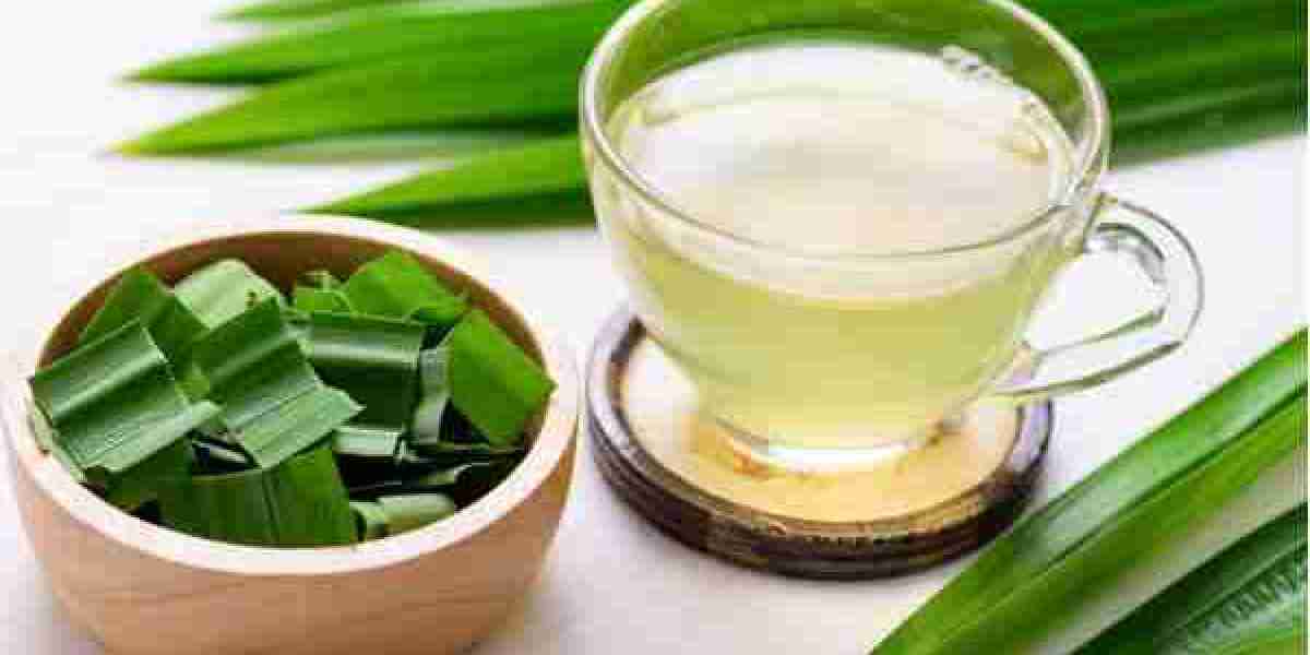 Pandan Tea Market: A Fragrant Fusion of Wellness and Tradition