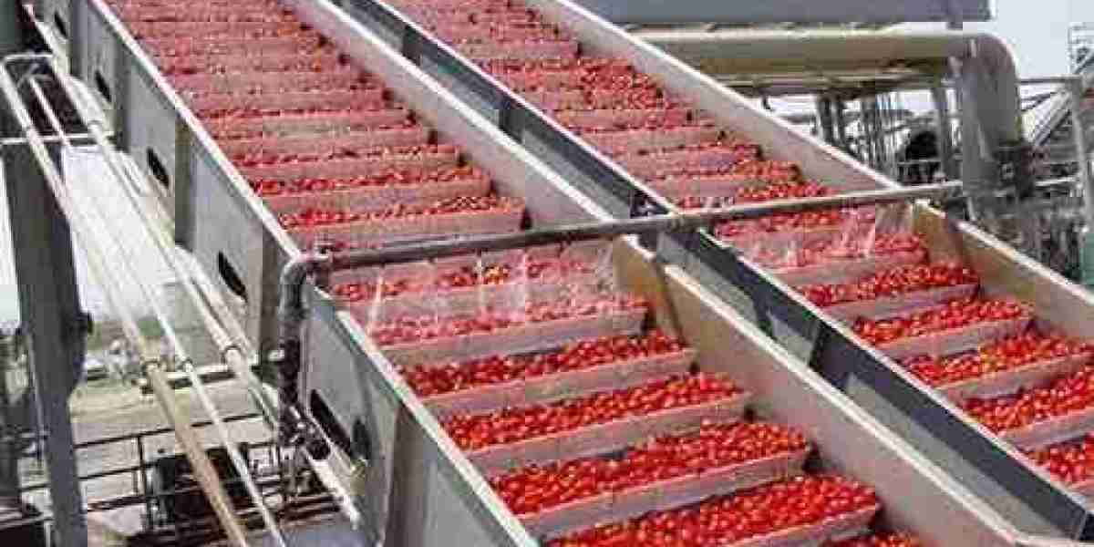 Tomato Ketchup Manufacturing Business Plan 2025: Cost Analysis and Raw Material Requirements