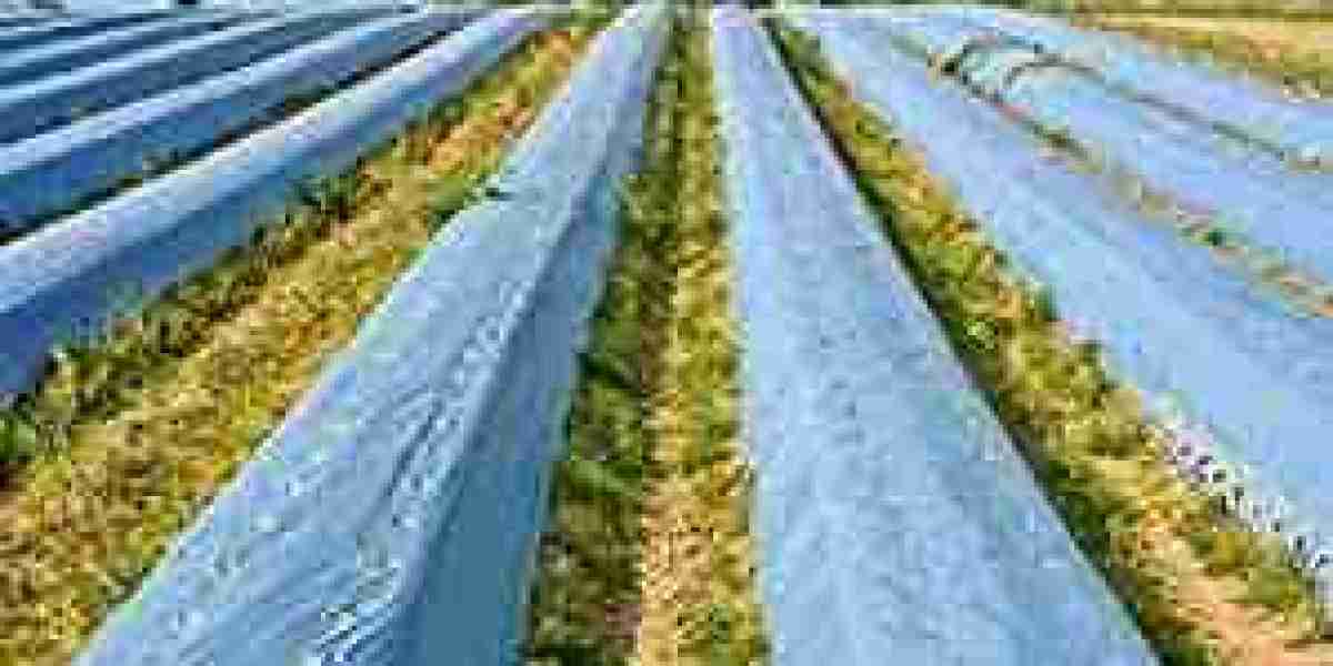 Liquid Mulching Film Market: Revolutionizing Sustainable Agriculture