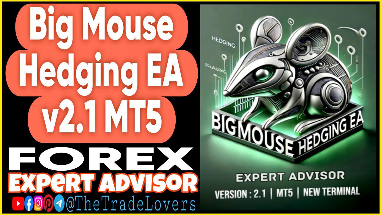 BigMouse Hedging EA v2.1 MT5 Presets (Works on Build 5120 ) | Forex Robot | MT5 Expert Advisor - Payhip