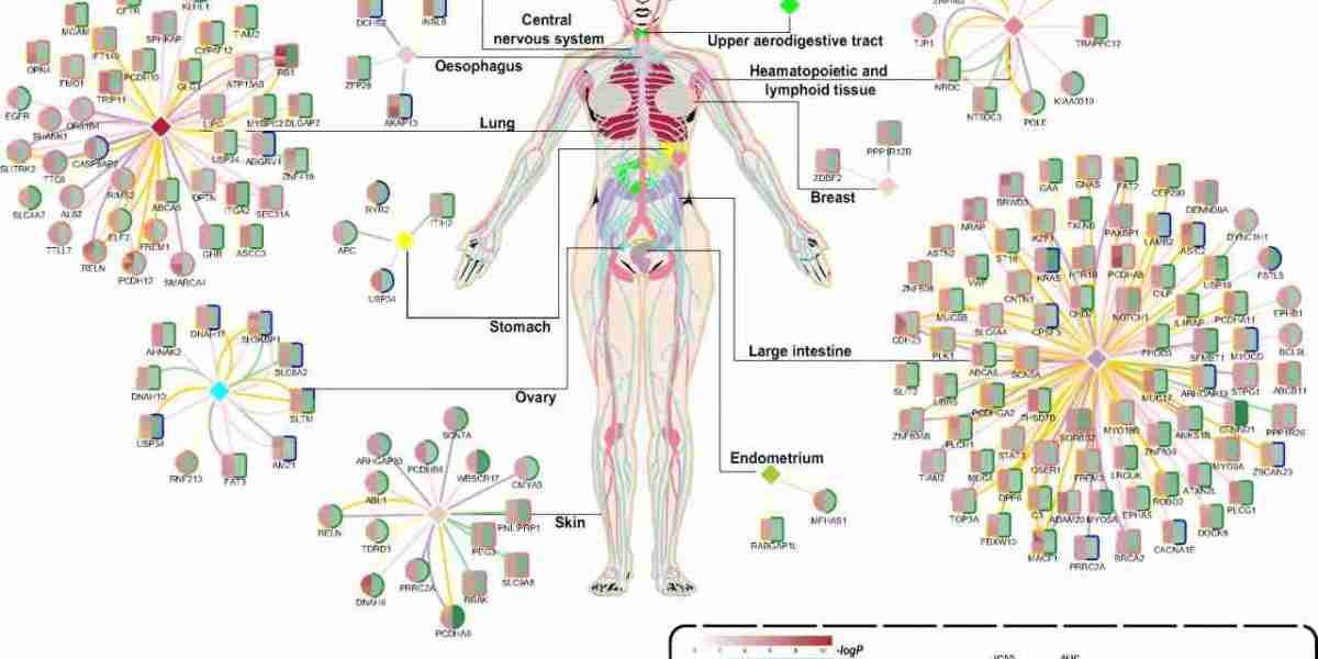 Alfa Cytology Starts Comprehensive Development Services for PARP Inhibitors Aimed at Advanced Cancer Treatment