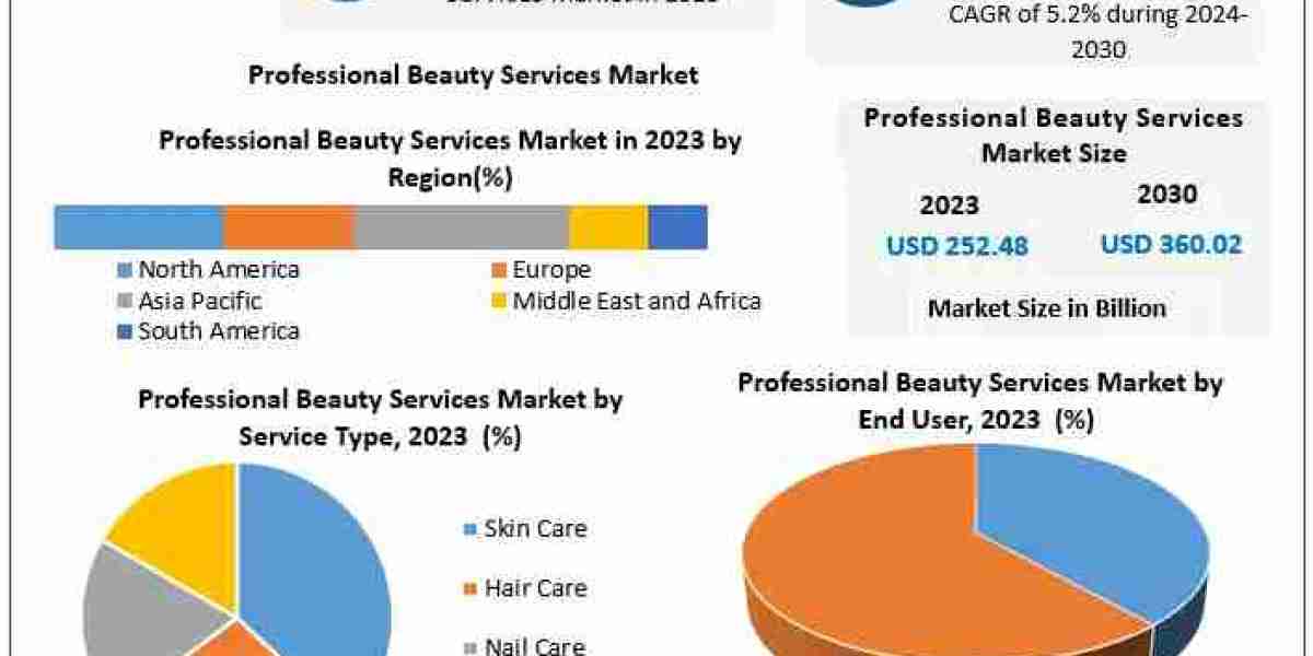 Professional Beauty Services Market Segmentation, Size, and Emerging Trends (2024–2030)