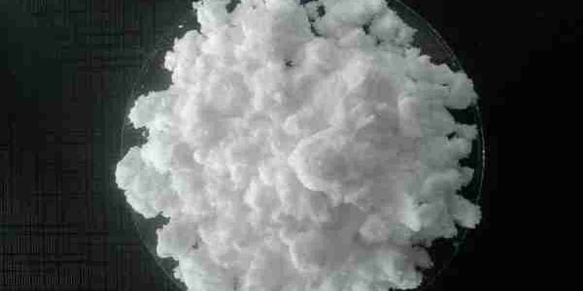 The Future of the Persulfates Market: Forecasting Growth and Development