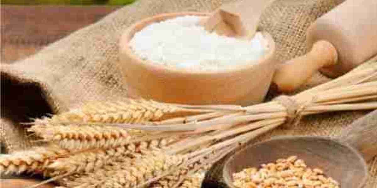 Global Vitamin & Mineral Premixes Market Size, Share,  Forecast 2022 - 2032