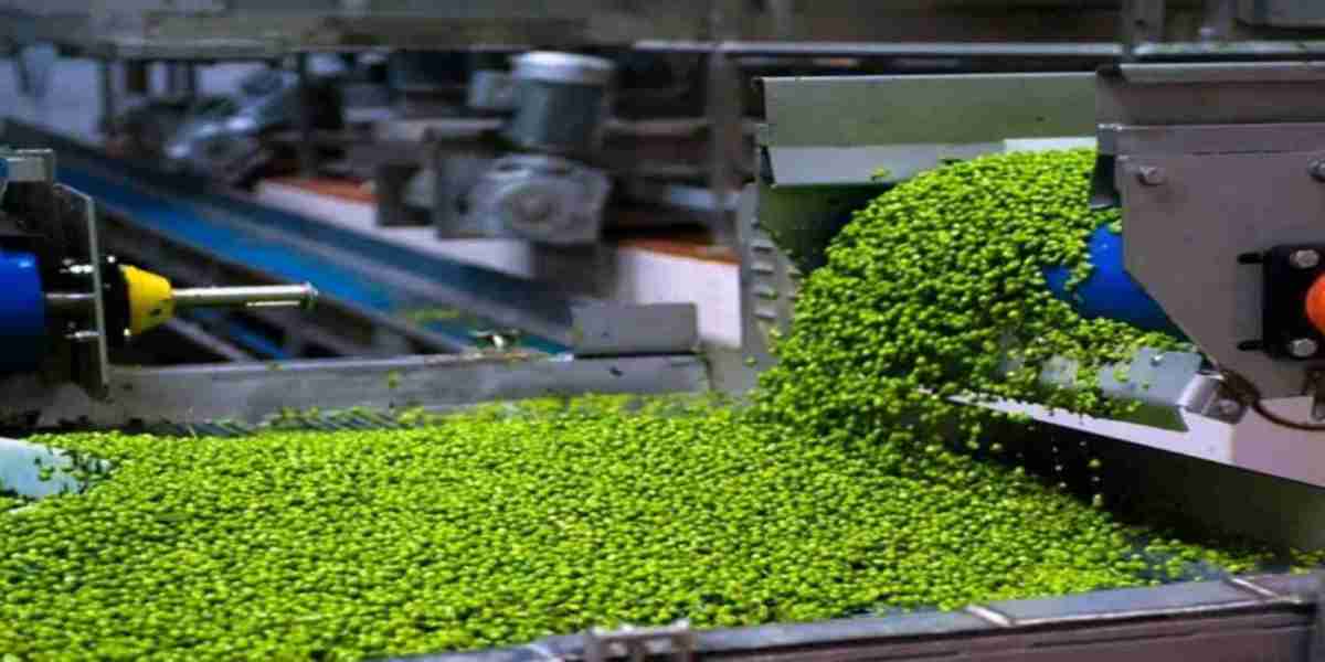 Peas Processing Plant Feasibility Report 2025: Business Plan, Raw Materials, and Cost Analysis