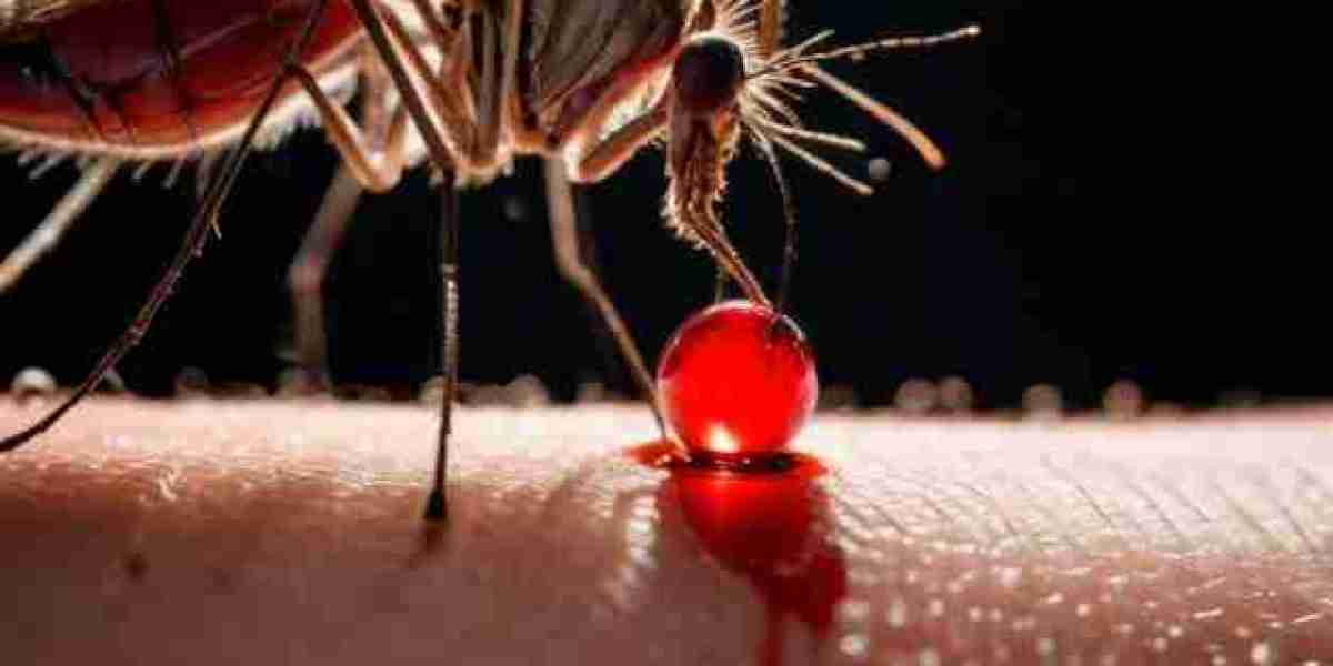 P. vivax Malaria: Market Dynamics, Treatment Innovations, and Commercial Prospects
