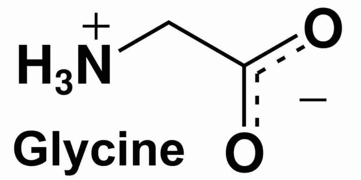Exploring the Glycine Supplement Market: Trends and Consumer Insights