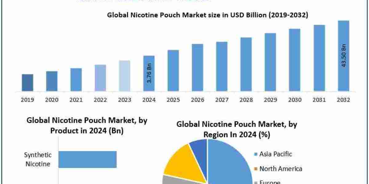 Nicotine Pouch Market Size, Growth Opportunities, and Outlook (2025–2032)