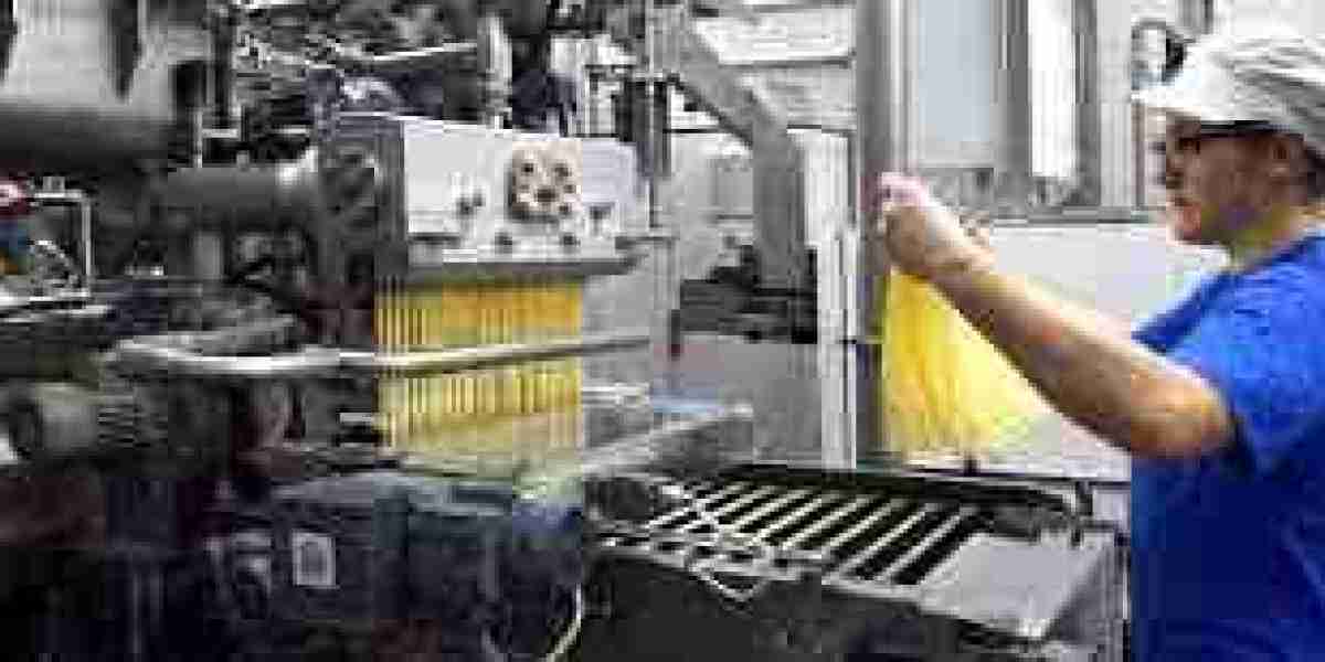 Spaghetti Manufacturing Plant Setup Cost 2025: Raw Materials Requirement and Setup Cost