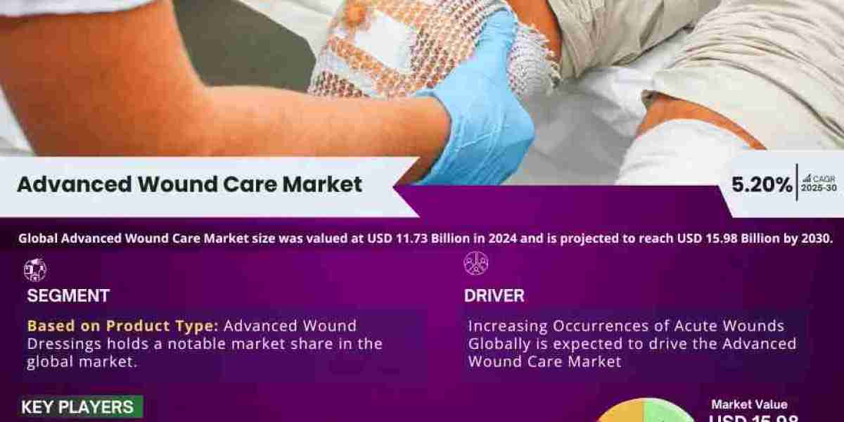 Global Advanced Wound Care Market Comprehensive Analysis and Forecast 2025 to 2030