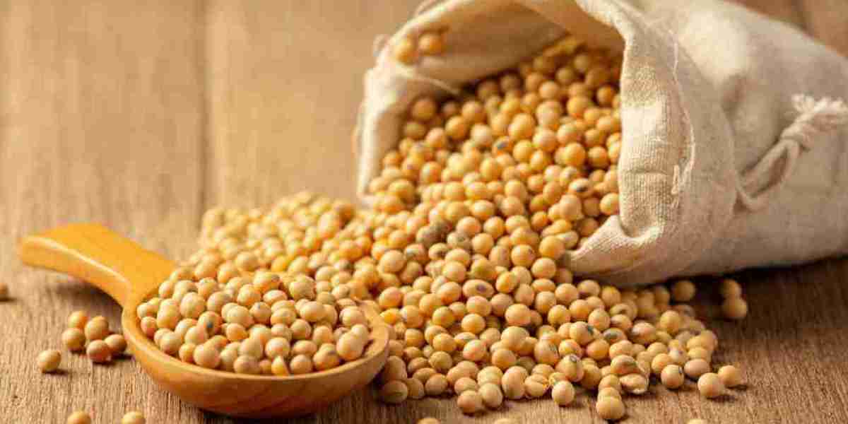 Exploring the Pea Protein Market: Health Trends Fueling Global Growth