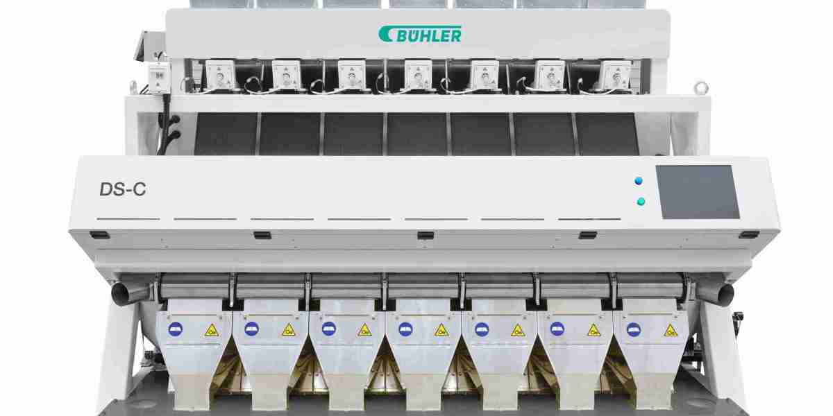 Optical Sorter Market Demand: Automating Precision in Sorting Across Industries