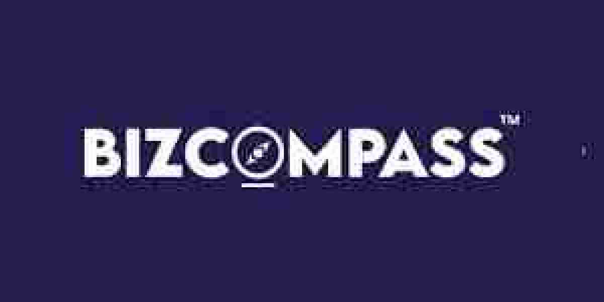BizCompass: Built for Small Business Success