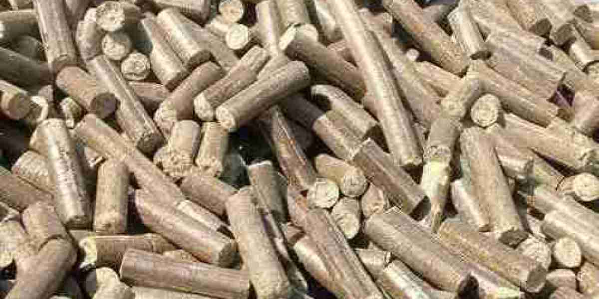 Global Biomass Briquettes Market Size, Share, Forecast 2023 - 2033