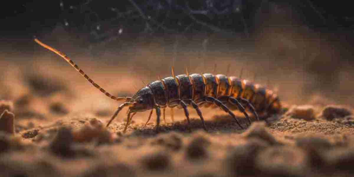 Lice Infestations Market Overview: Emerging Trends, Therapeutic Landscape, and Future Outlook | By DelveInsight