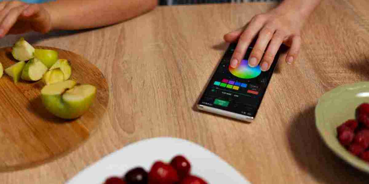 Japan Portable Food Allergen Sensor Market: Empowering Safe Eating Through Innovation
