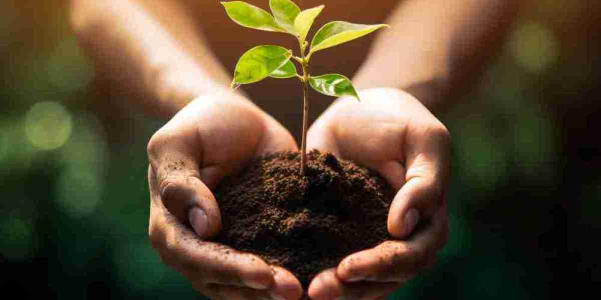 Turning Waste into Wealth: South Korea's Biochar Market Booms with Sustainability Innovations