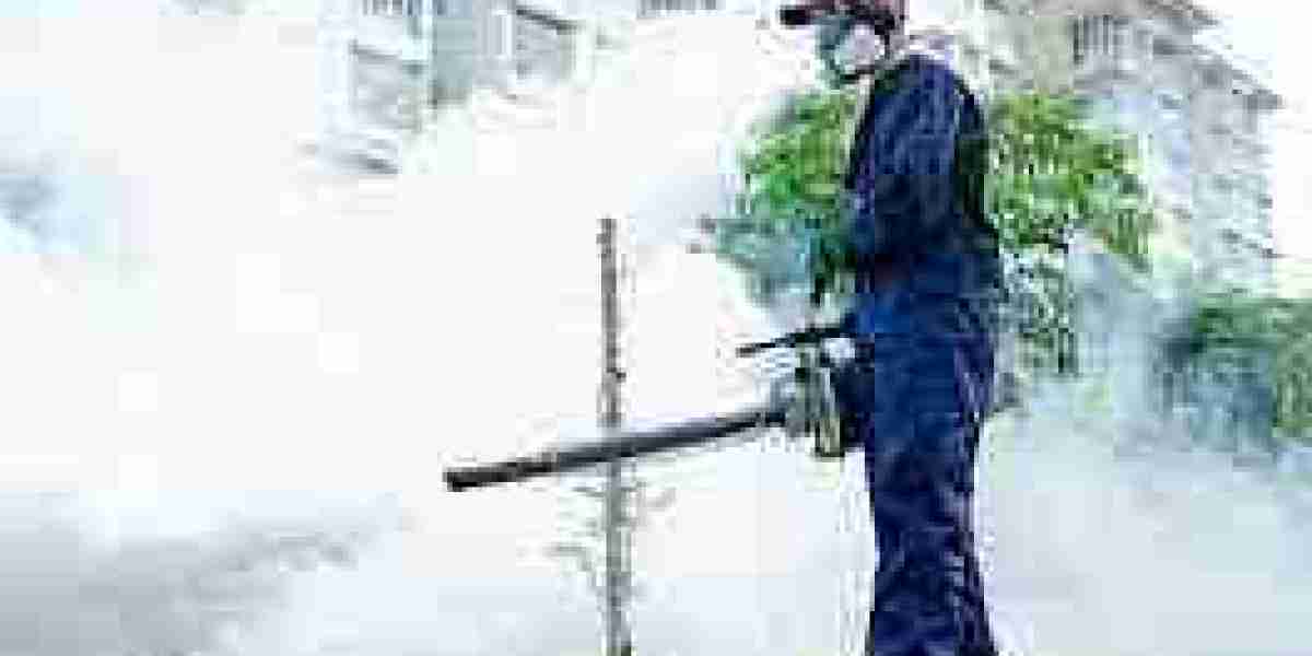 The Ultimate Guide to Rodent Control London: Protecting Your Home and Business