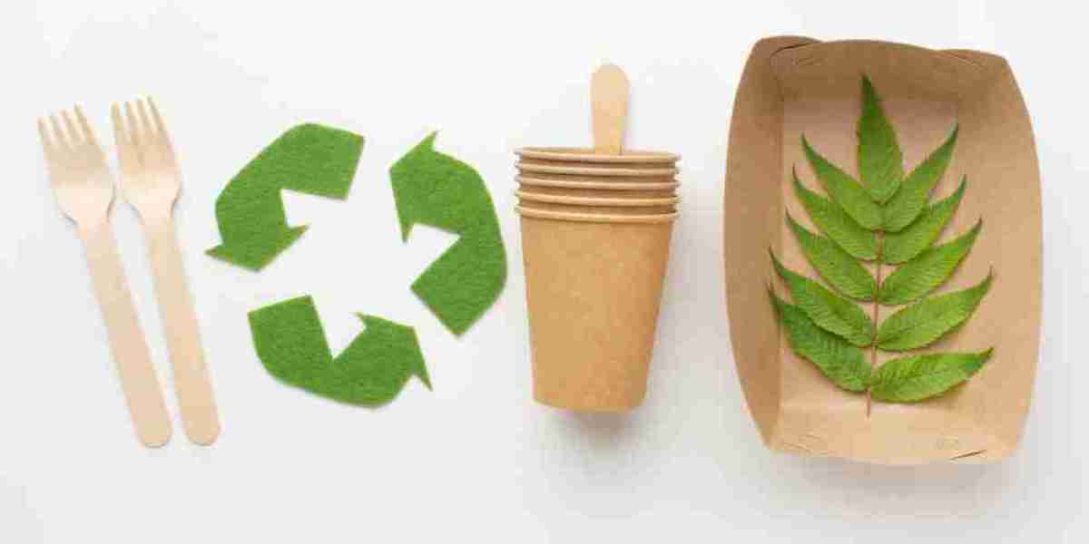 Biodegradable Plastics Market Outlook: Challenges, Opportunities, and Global Trends