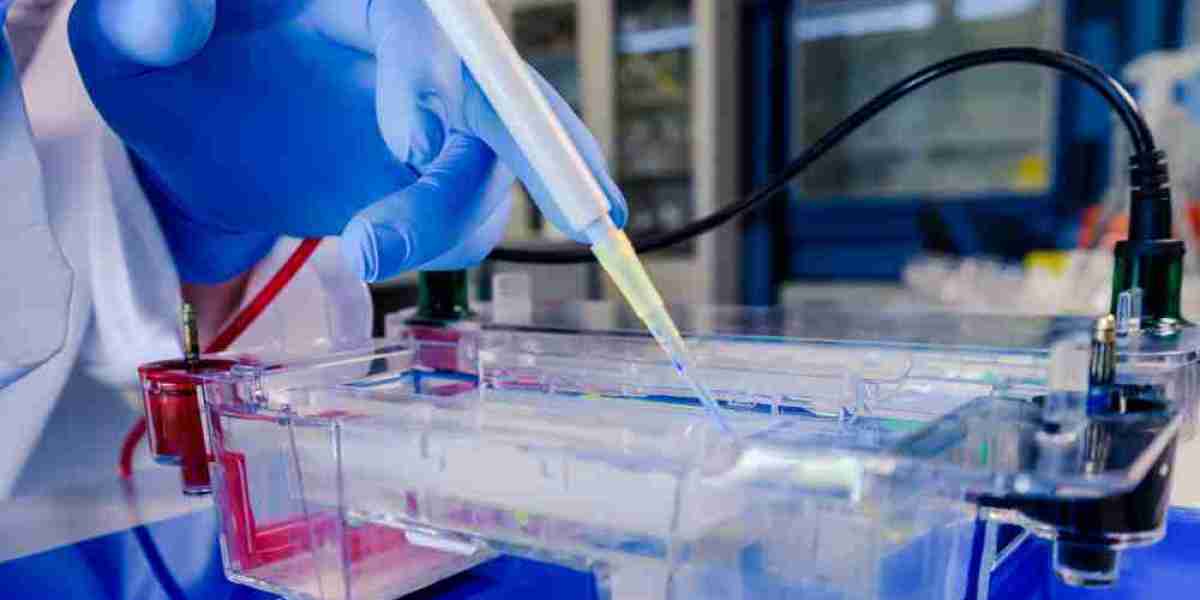 Electrophoresis Market: Accelerating Innovation in Genomic and Proteomic Research