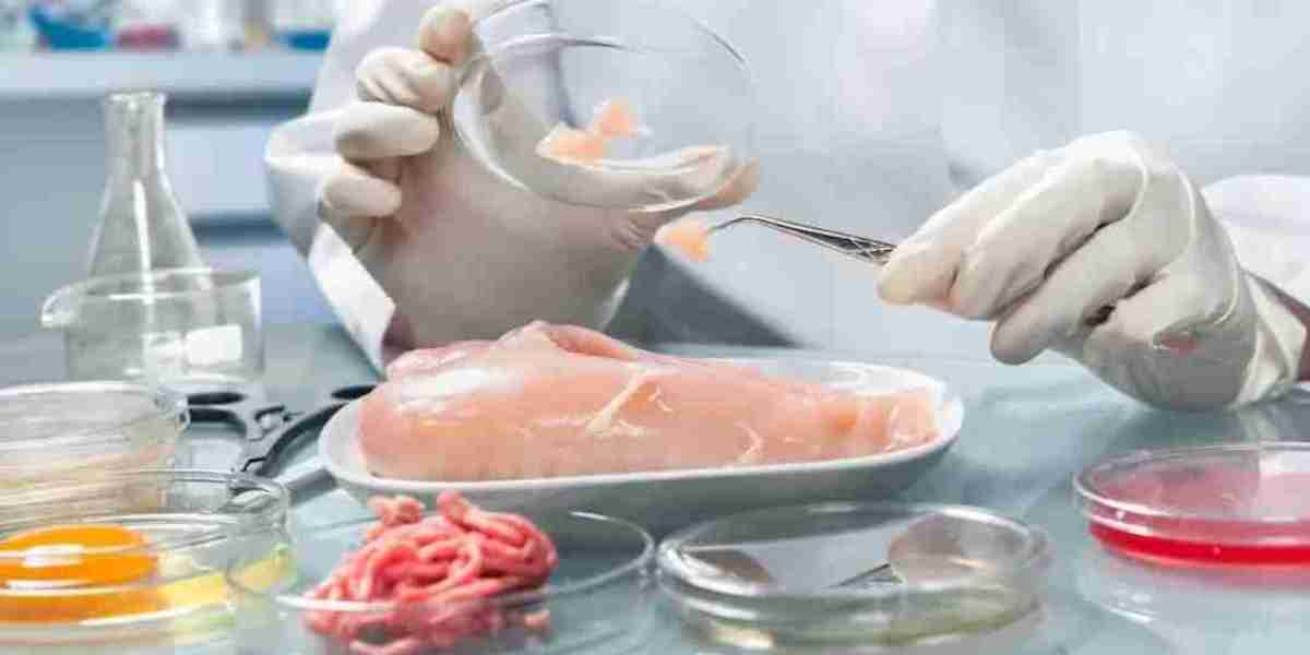 Global Food Safety Testing Equipment and Consumables Market Size, Analysis and Forecast 2022 - 2030