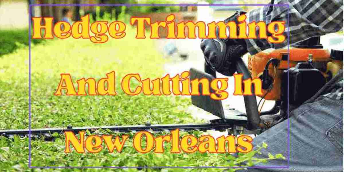 Professional Tree Removal Services by Audubon Tree Care in New Orleans