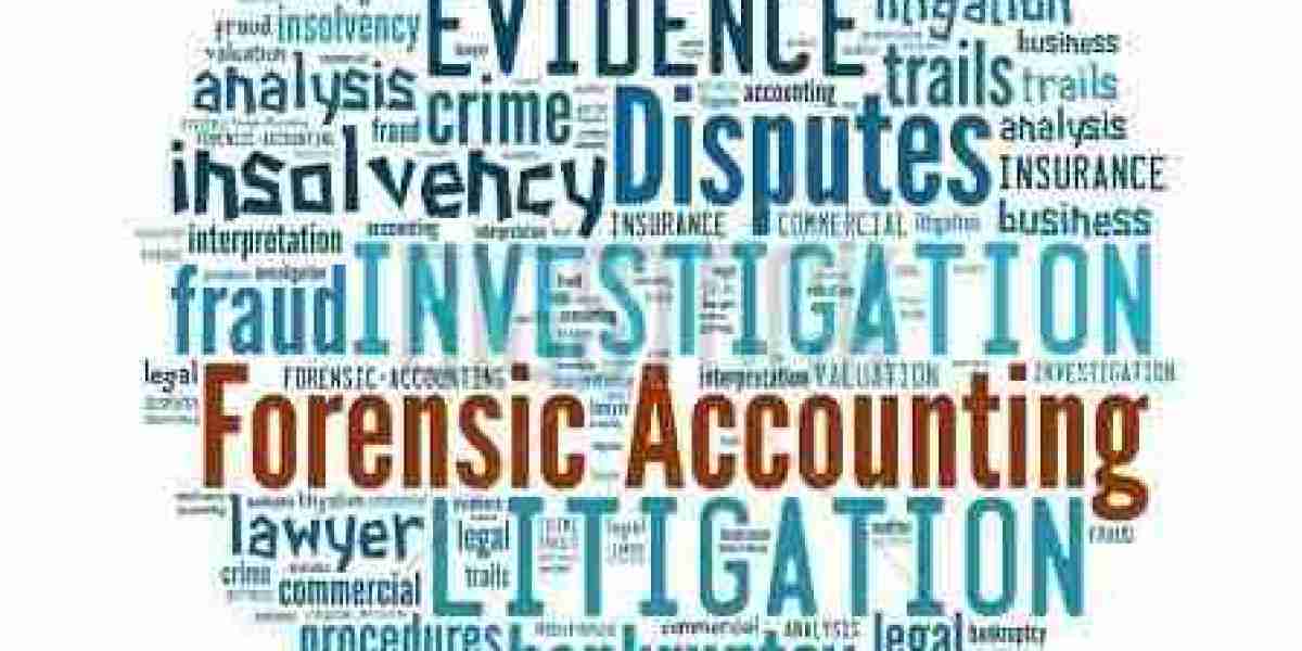 Forensic Accounting Market: Navigating the Future of Financial Integrity