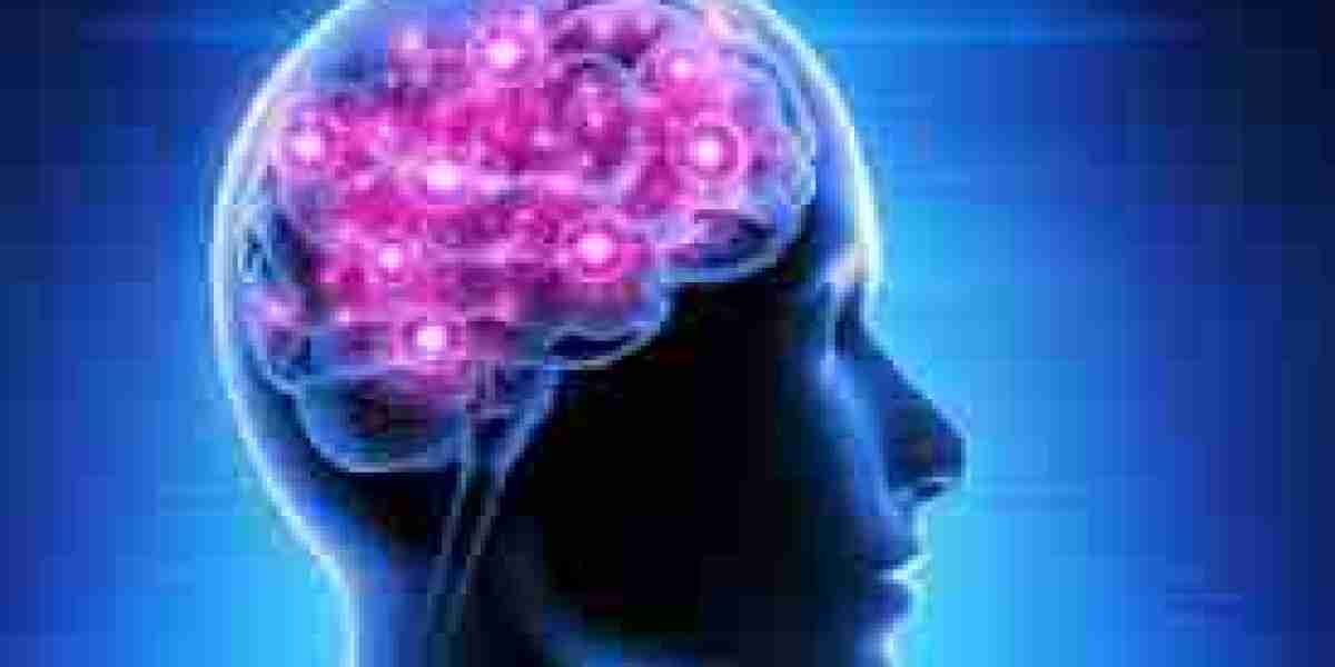 Boost Your Mind and Body Naturally with These Essential Brain and Liver Support Supplements