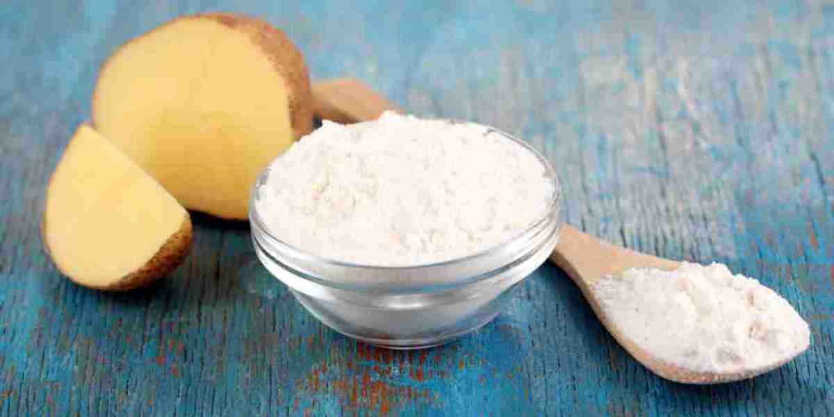 From Spud to Superfood: A Global Glimpse into the Potato Protein Market