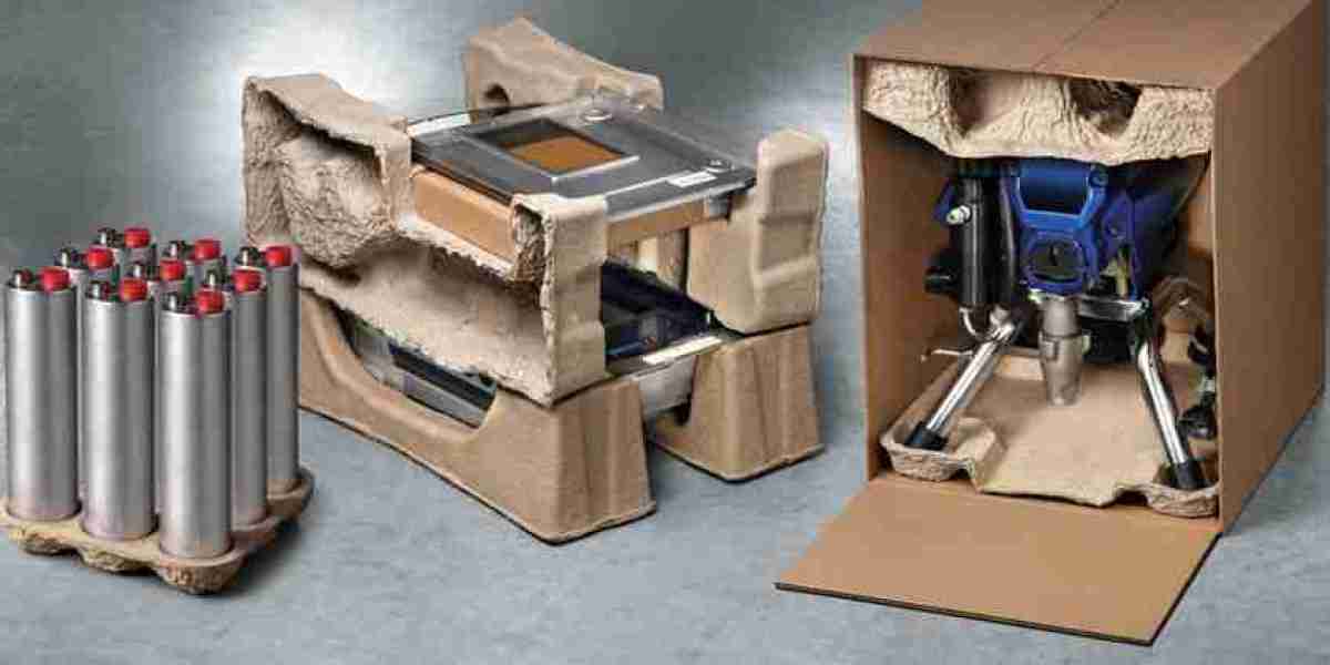 Greener Tomorrow, One Package at a Time: A Deep Dive into the Global Molded Fiber Packaging Market