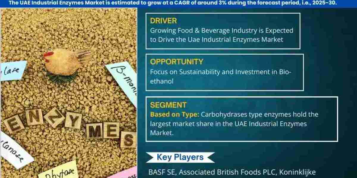 UAE Industrial Enzymes Market Research 2025–2030: Growth, Size & Opportunities
