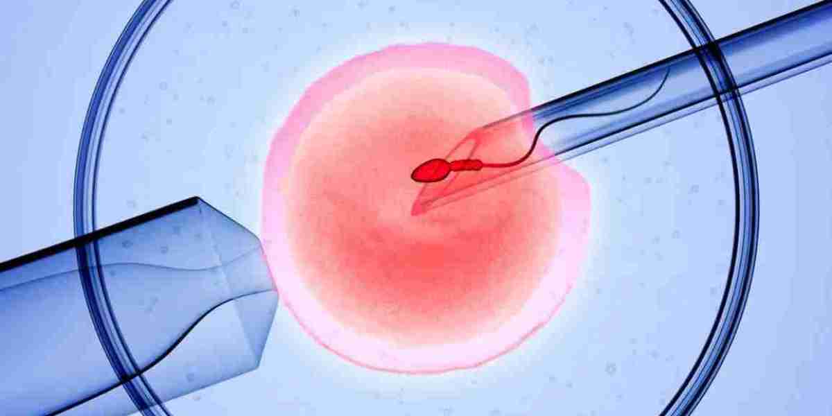 Understanding the IVF Process: A Guide to Services at IVF Centers